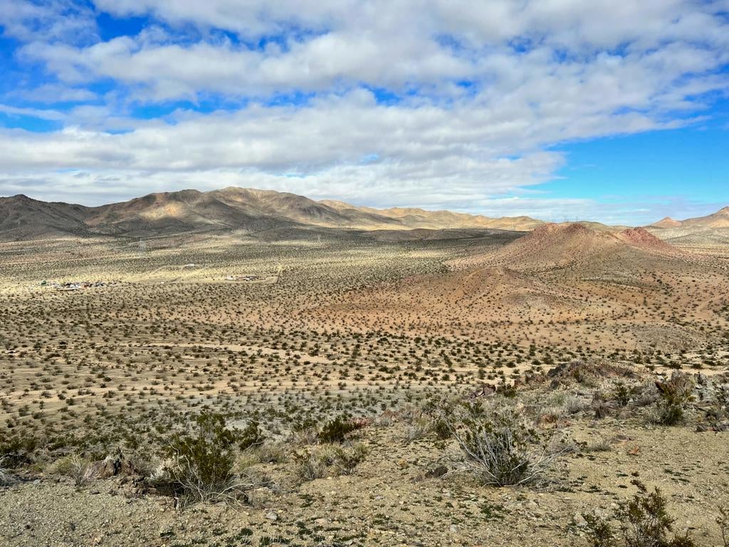 Photo of Listing #219145595DA