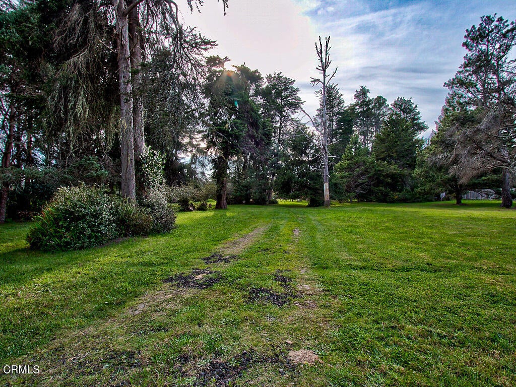 Photo of Listing #C1-11314