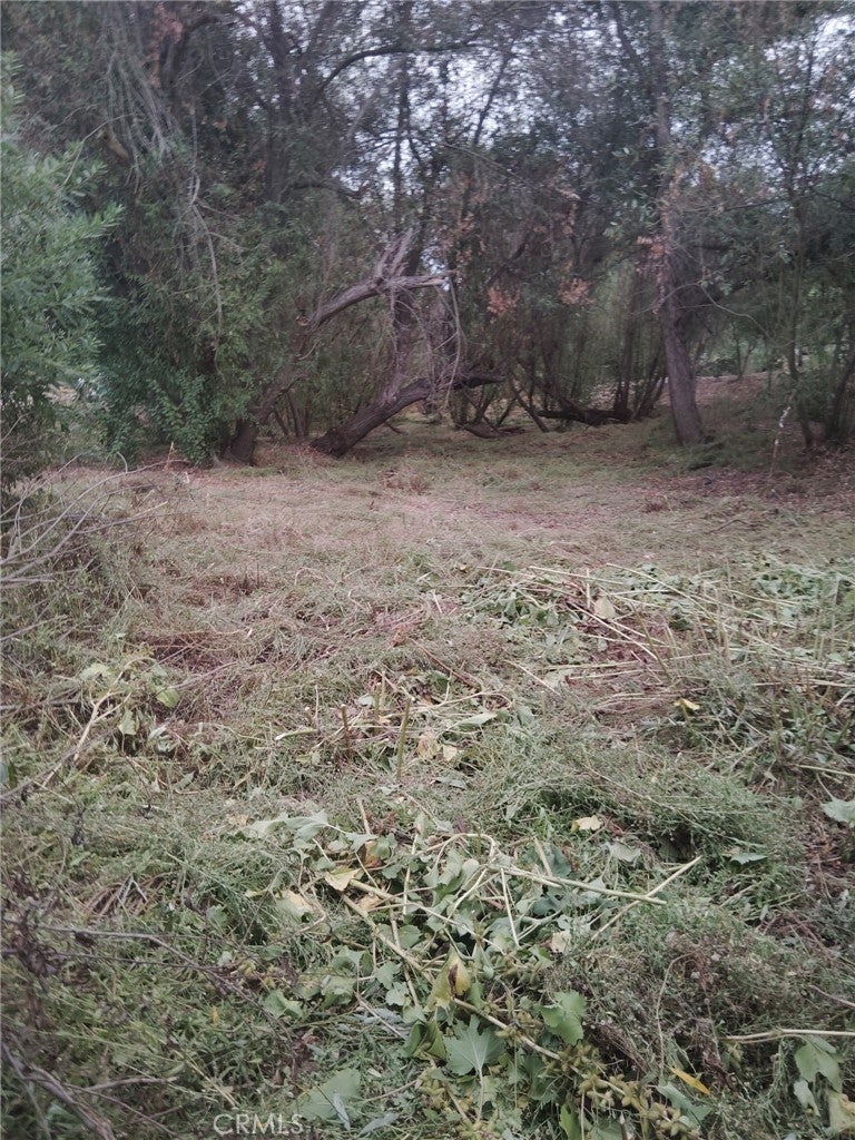 Photo of Listing #RS26069101