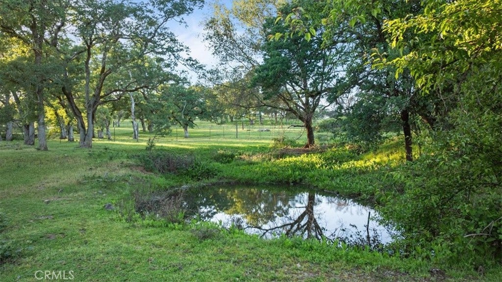 Photo of Listing #OR26069578