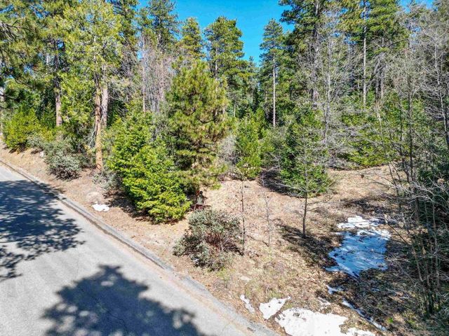Laurel Trail Lot, Idyllwild