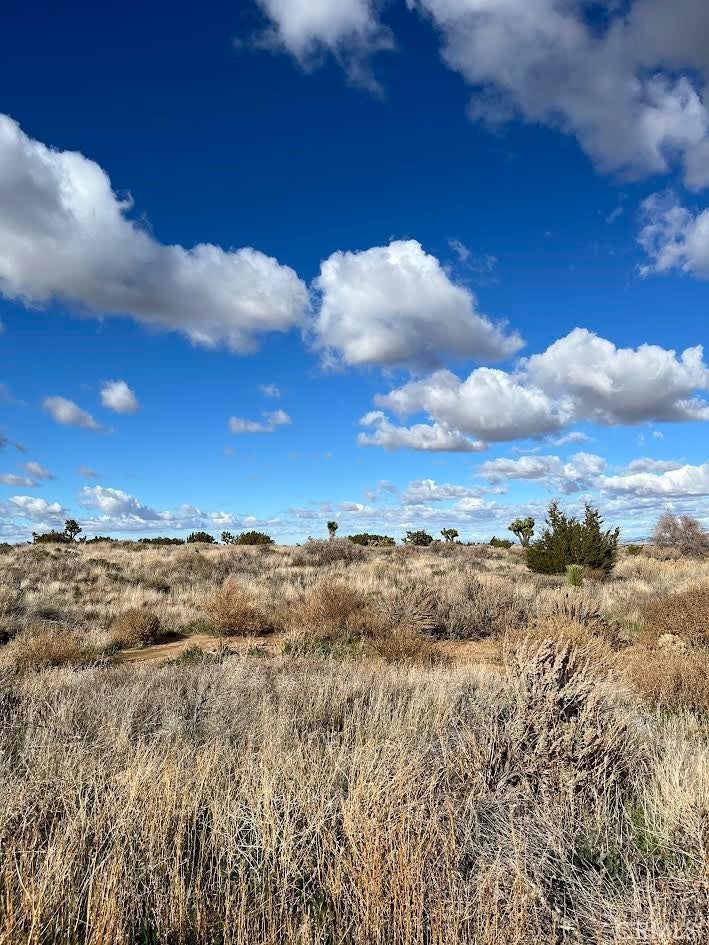 Photo of Listing #TR26069711