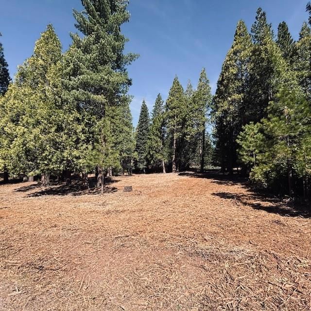 790 Red River Drive, Lake Almanor