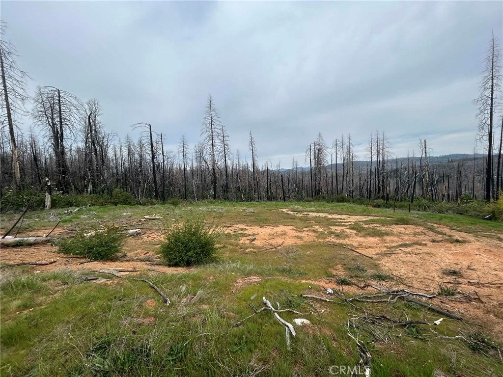 Photo of Listing #OR26070066