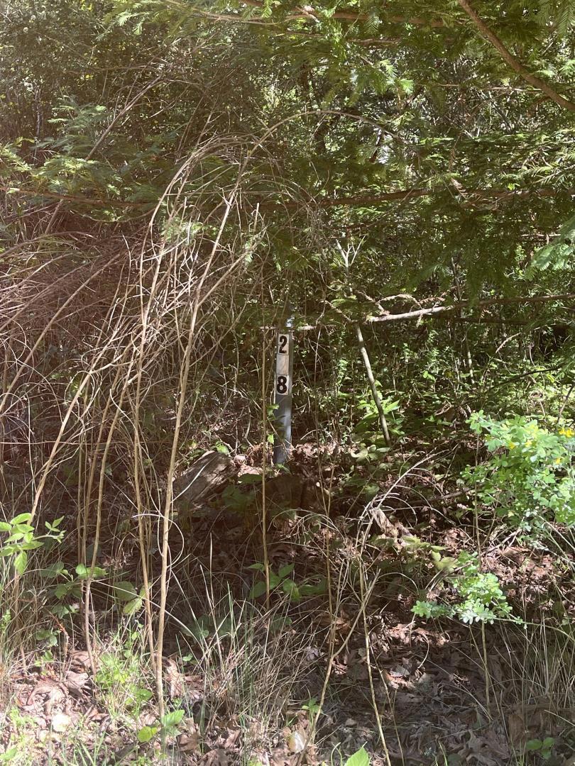 Photo of Listing #ML82041164