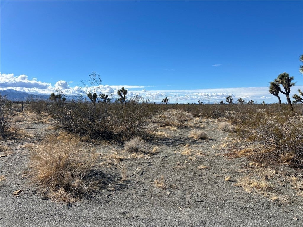 Photo of Listing #HD26070551