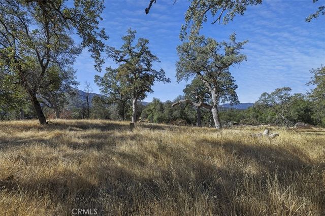 0 39.29 Ac Village Drive, Oakhurst