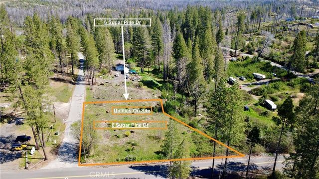 6 Sugar Pine, Berry Creek