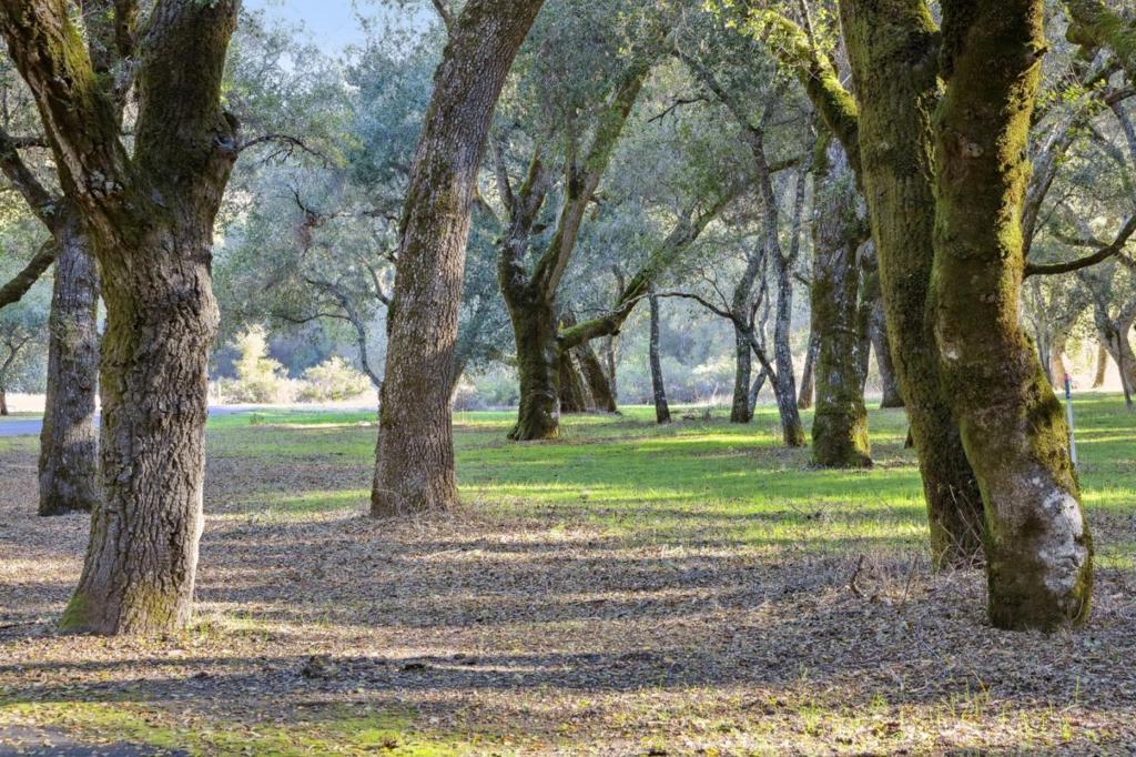 Photo of Listing #ML82041412