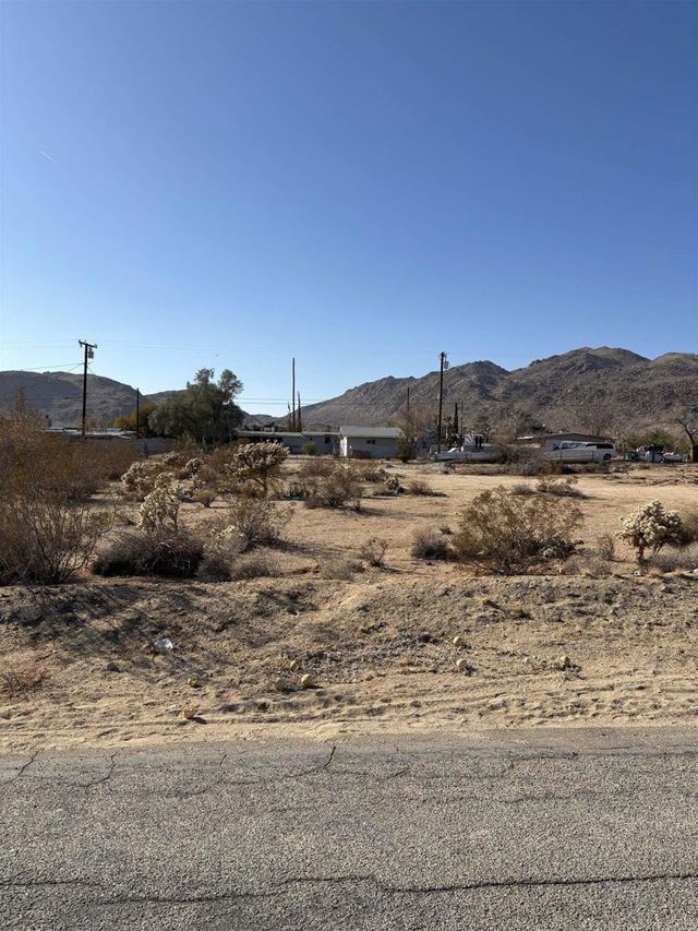 La Espana Daga, Joshua Tree