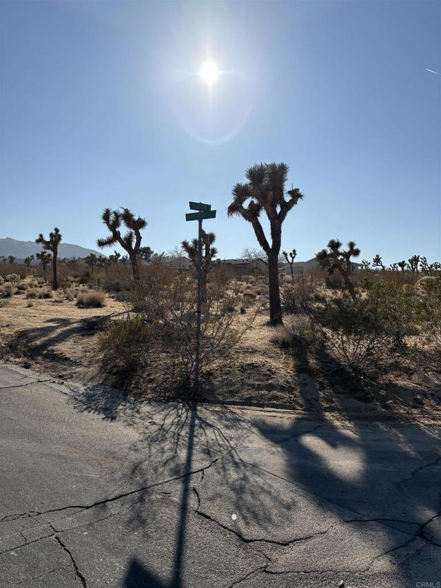 Division Street, Joshua Tree