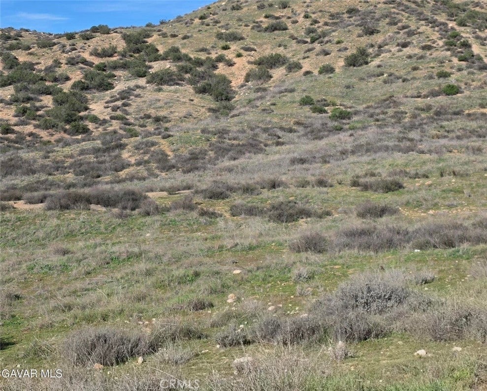 Photo of Listing #SR26071722