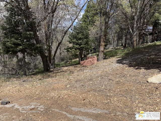 6032 Tripp Lane, Angelus Oaks