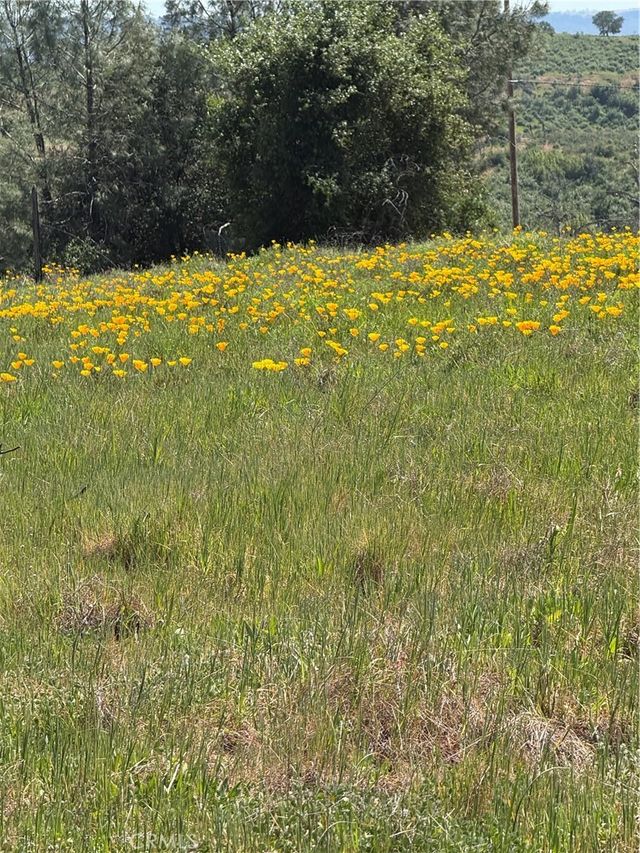 Round Valley Ranch Road, Paradise
