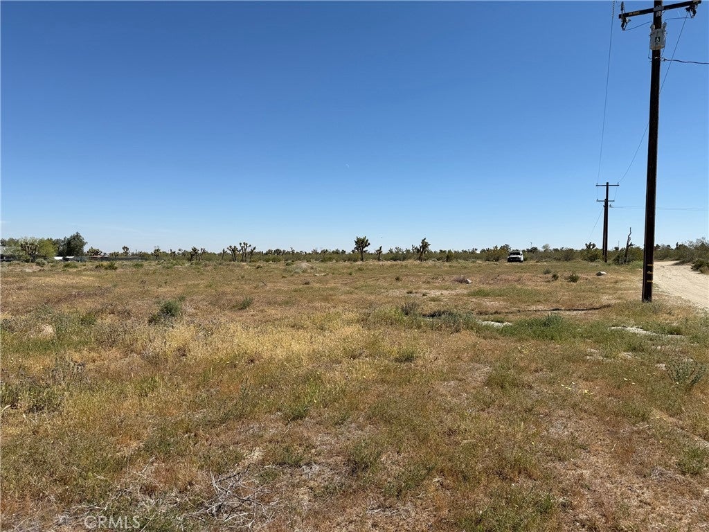 Photo of Listing #DW26072216