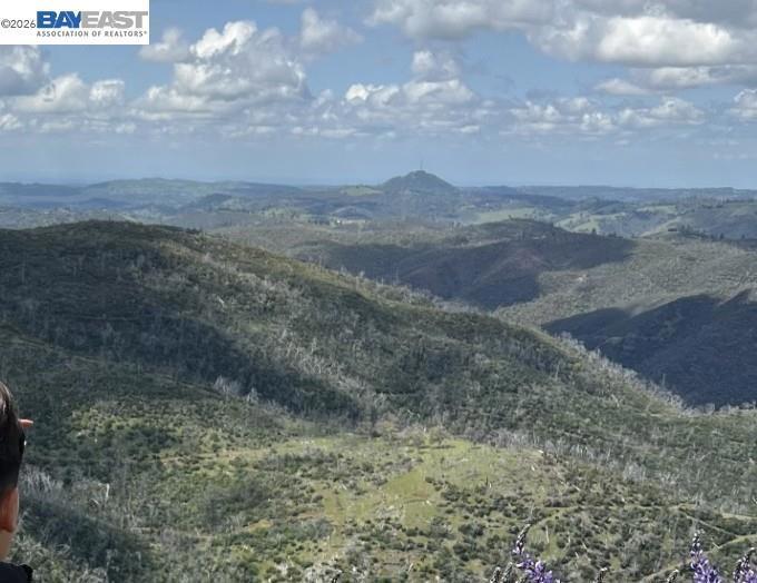 Photo of Listing #41129667