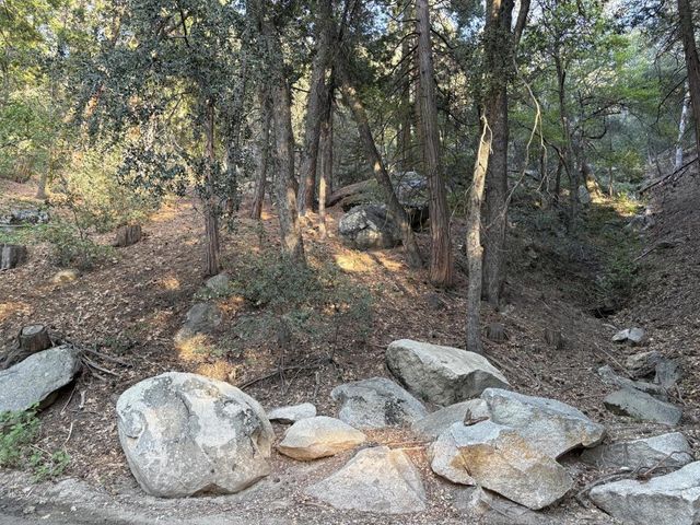 Tahquitz View Drive, Idyllwild