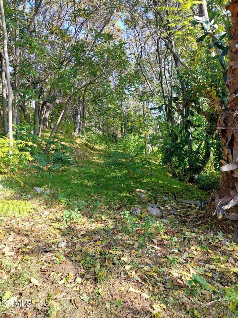 Photo of Listing #P1-26560