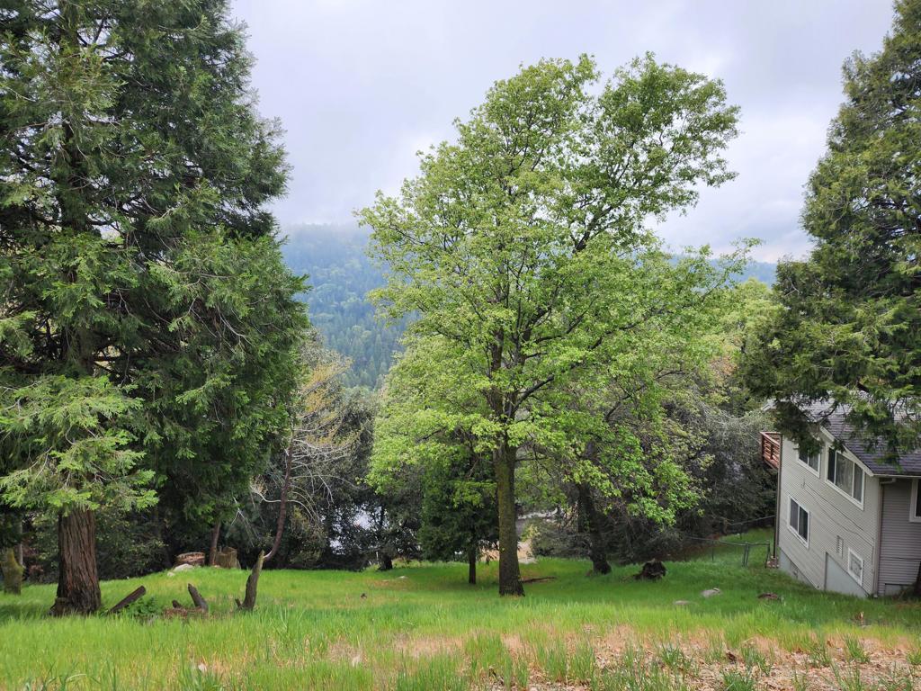 Photo of Listing #219145929DA