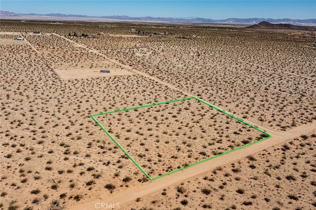 Sunny Sands, Joshua Tree