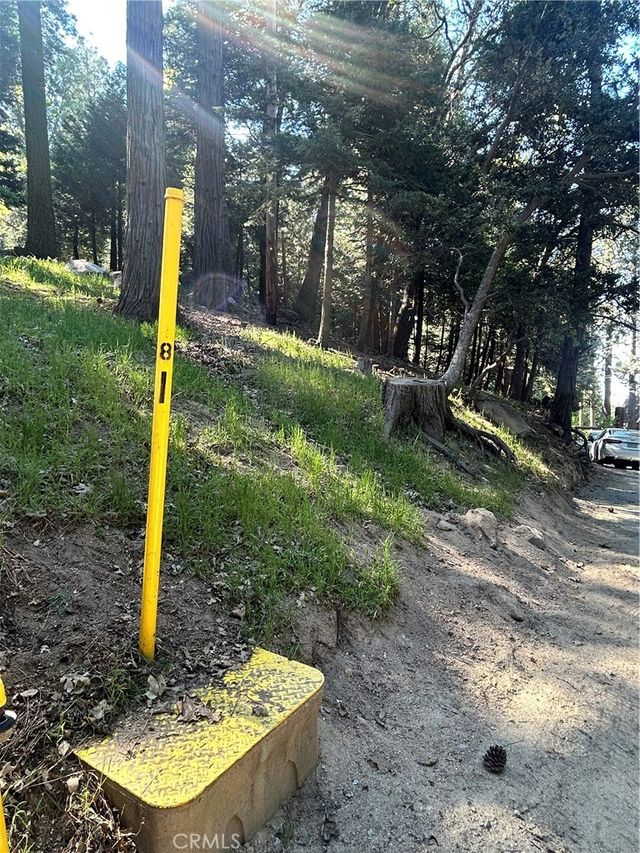 Forest Vw, Arrowhead, Twin Peaks