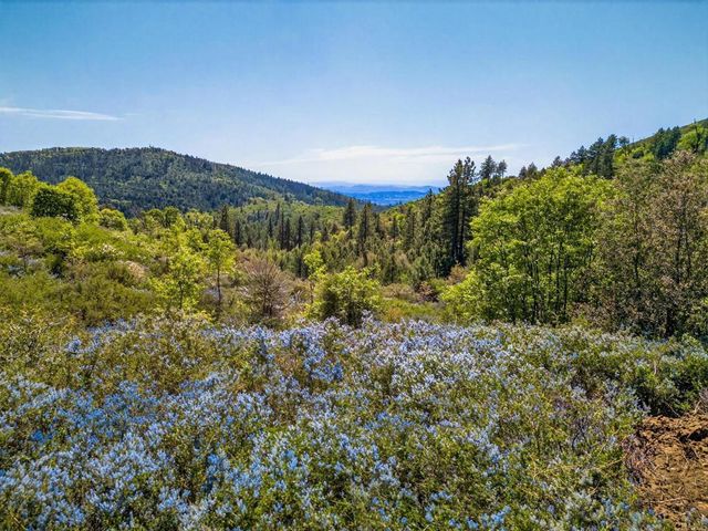 200 +/- Acres Palomar Divide Truck Trail, Palomar Mountain