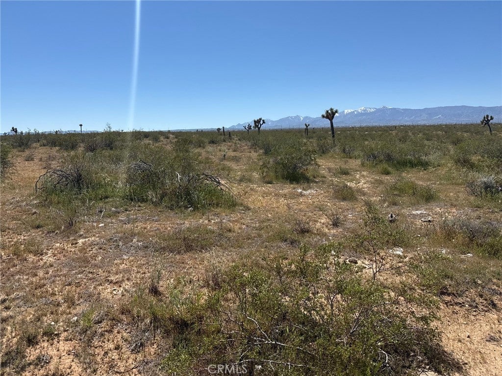 Photo of Listing #DW26073712