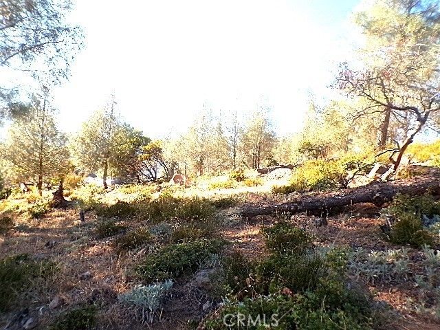 10070 El Capitan Way, Kelseyville