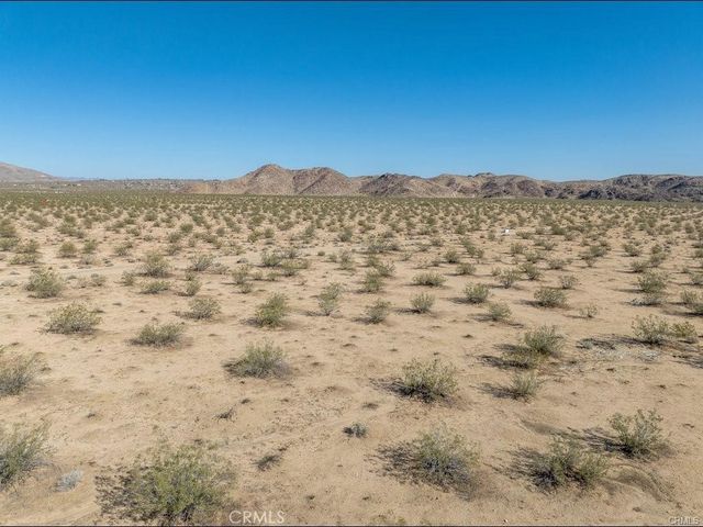 California, Joshua Tree