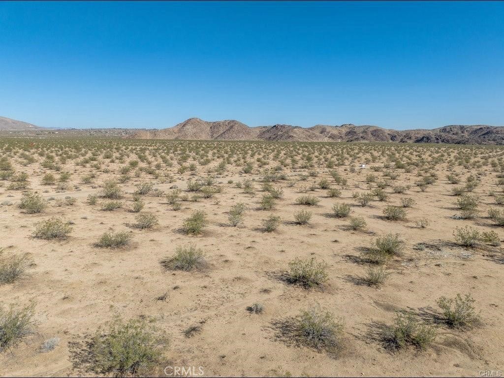 Photo of Listing #JT26074633