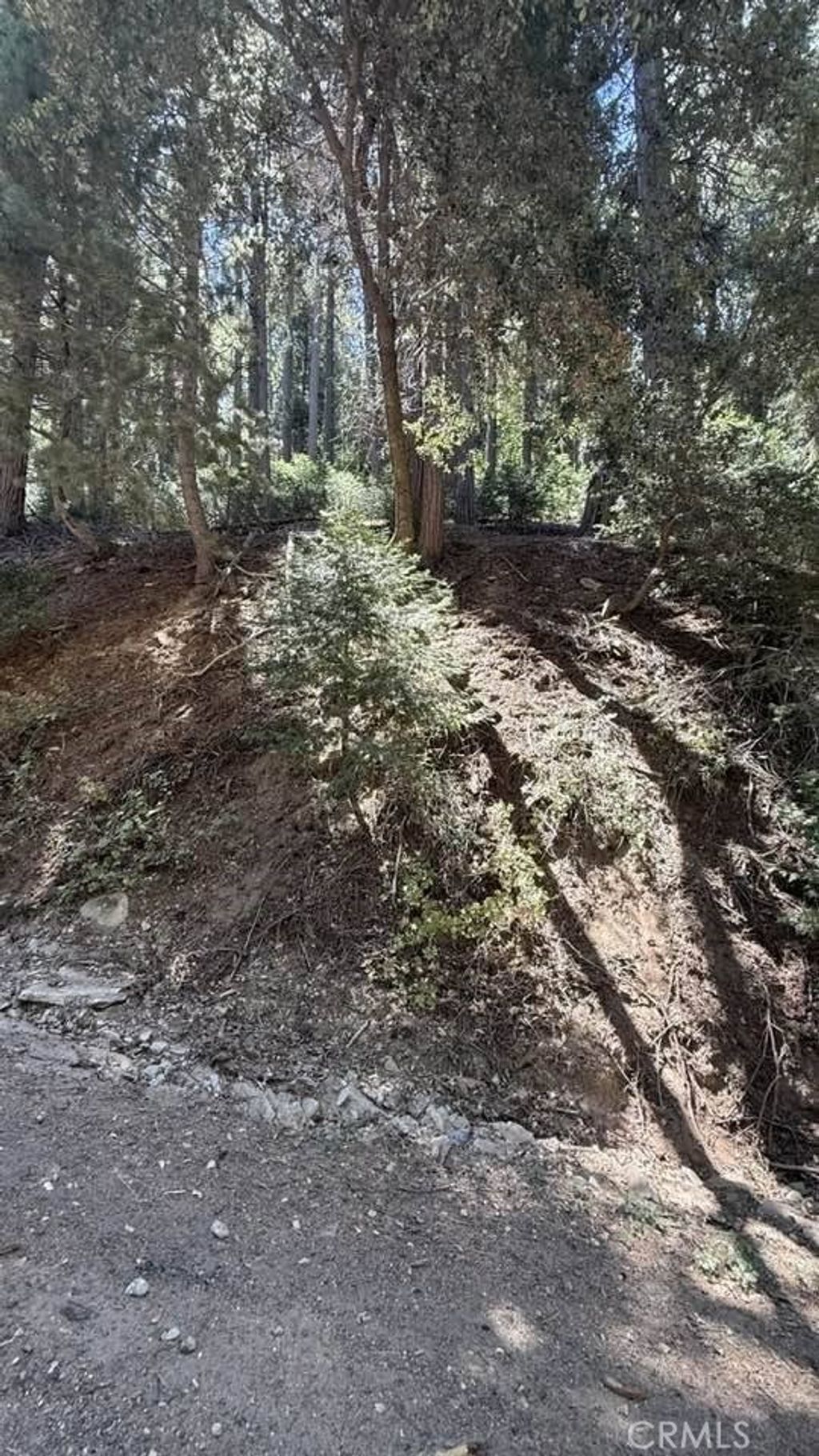 34207243 Mojave River Rd., Cedarpines Park