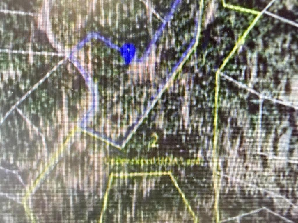 Photo of Listing #ML82042100