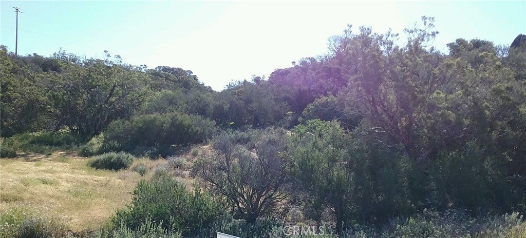 Photo of Listing #SW26075997