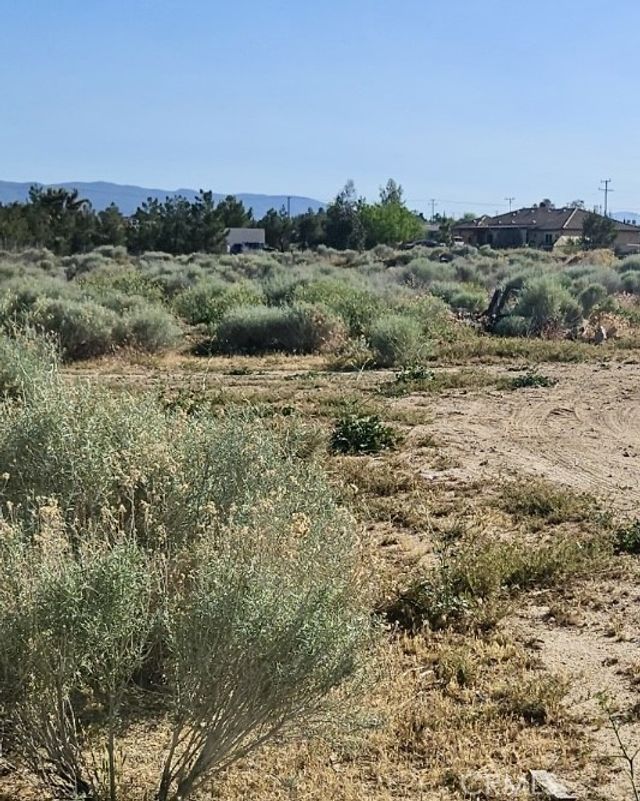 Sage, Hesperia