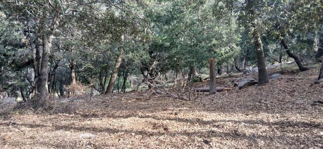 Alder Creek Road, Crestline