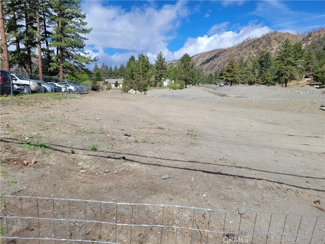 Spruce, Wrightwood