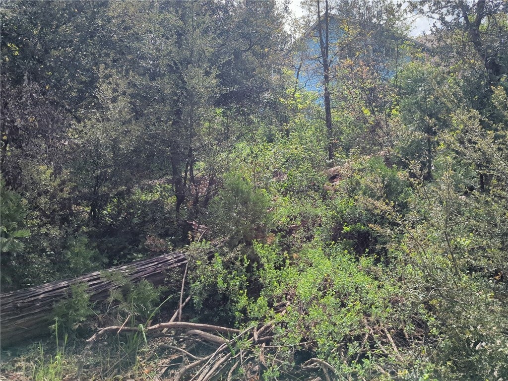 Photo of Listing #PI26074070