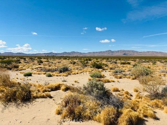 Photo of Listing #IG26077524