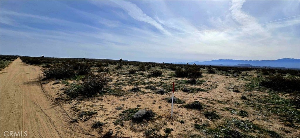 Photo of Listing #DW26077723