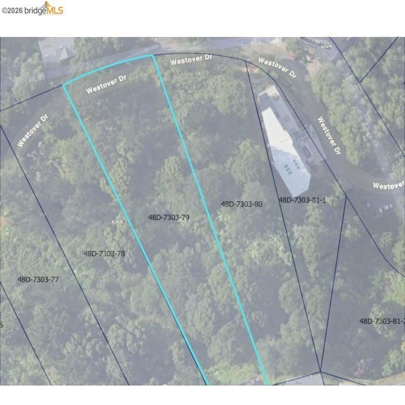 Photo of Listing #41130598