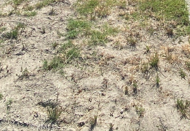 Photo of Listing #PW26078252