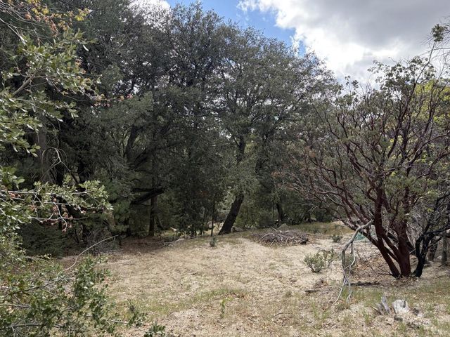 Schaffer Drive, Pine Cove
