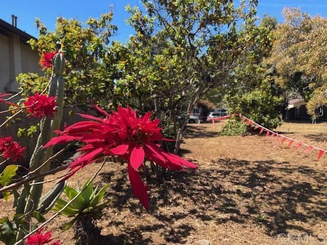 3328 Roosevelt Street, Carlsbad