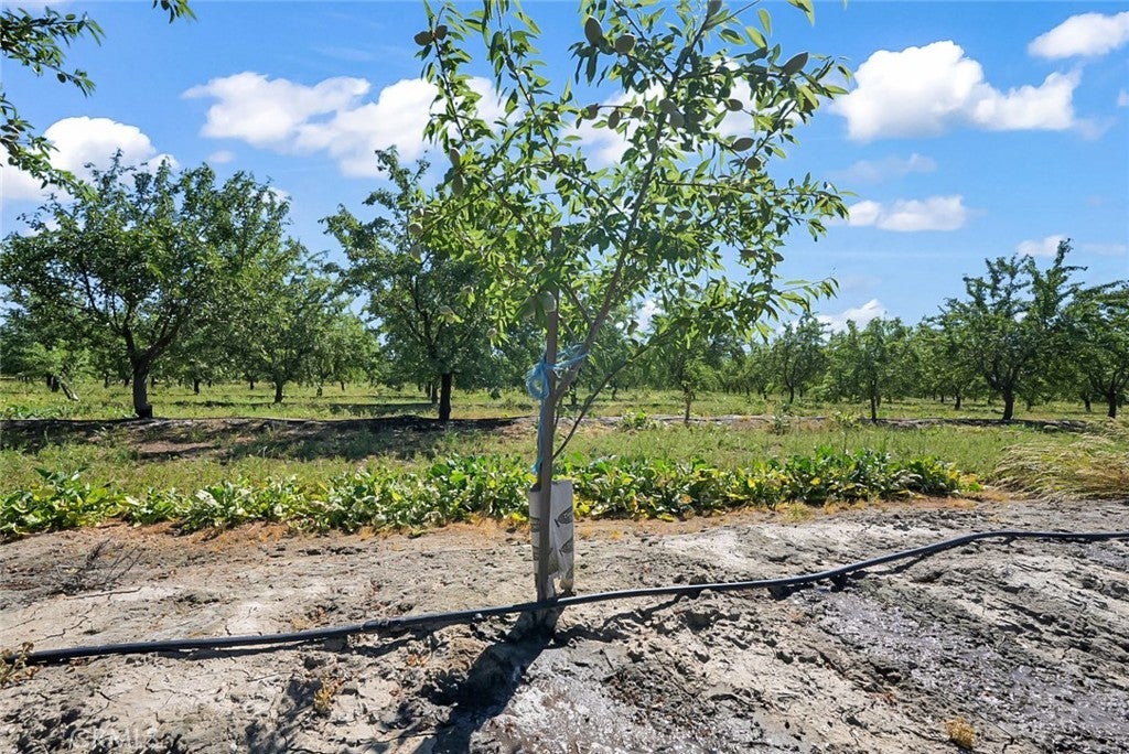 Photo of Listing #MC26079502