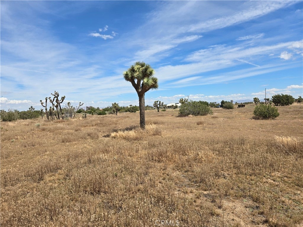 Photo of Listing #IV26079739