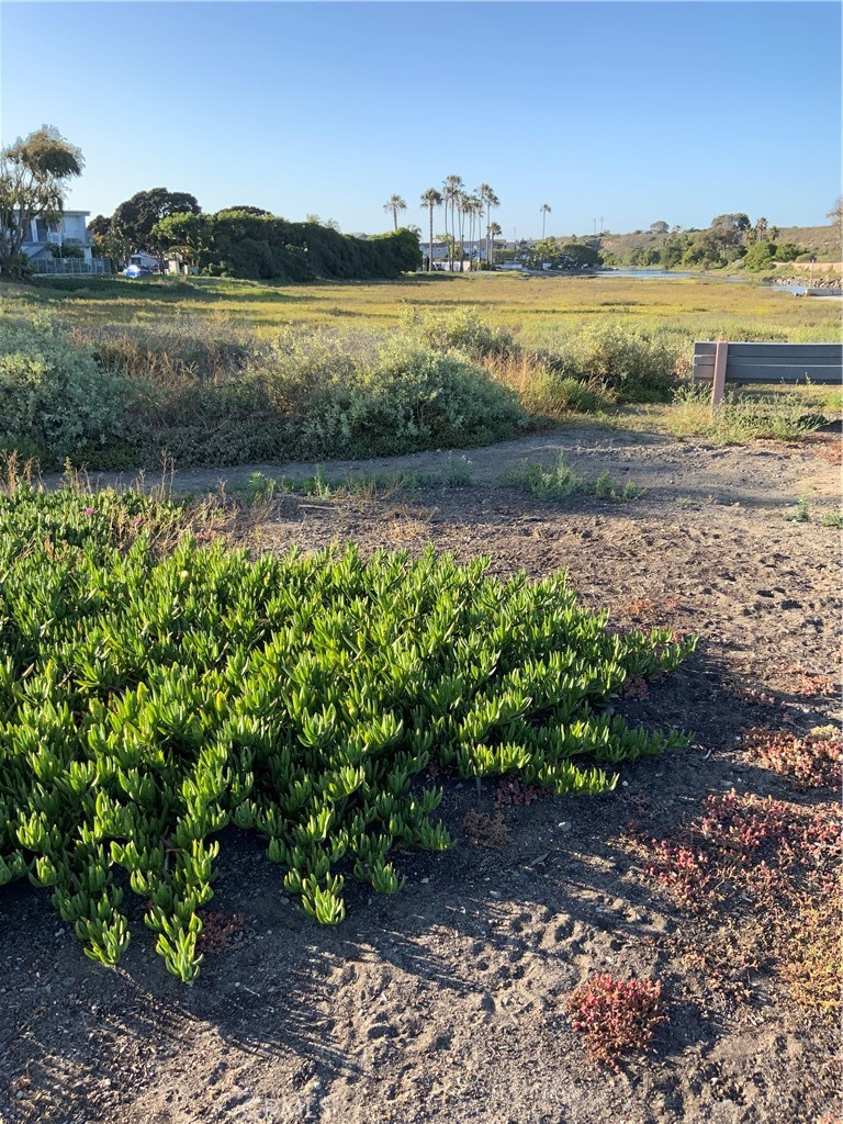 Photo of Listing #OC26080017
