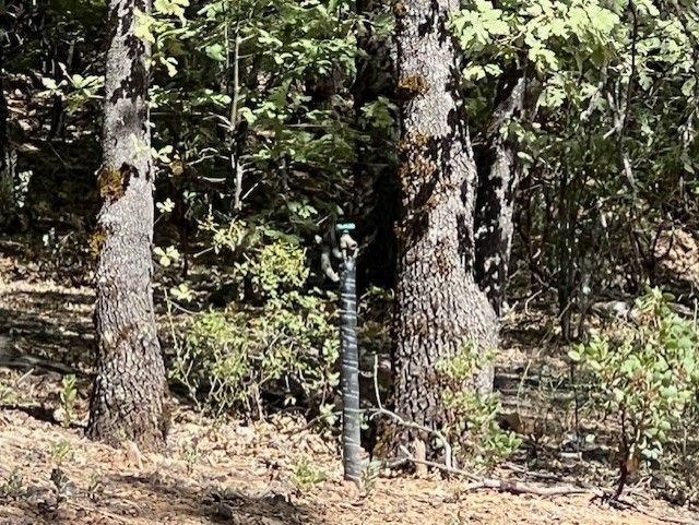 9208 Diamond Dust, Kelseyville