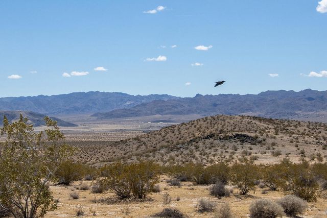 142 Shifting Sands, Joshua Tree