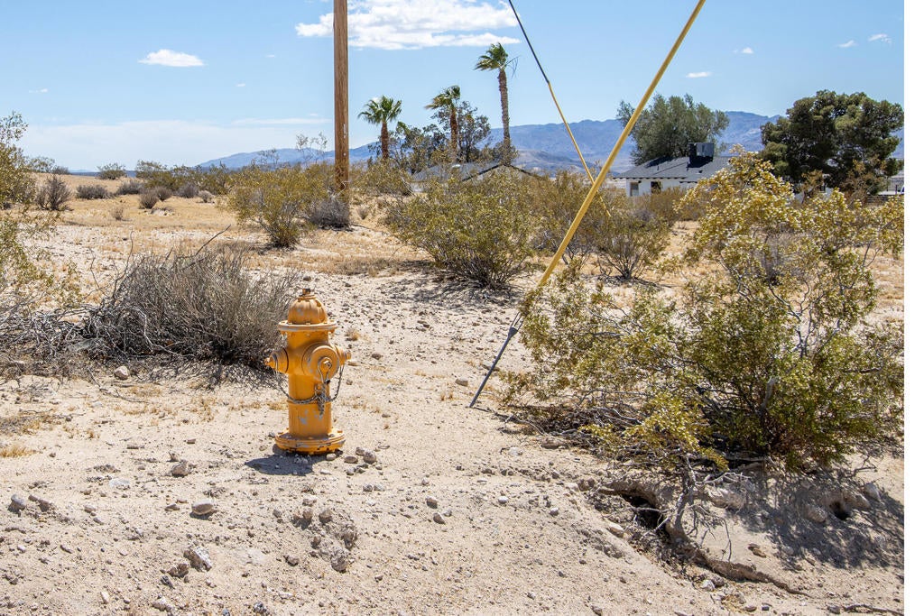 Photo of Listing #219146406PS