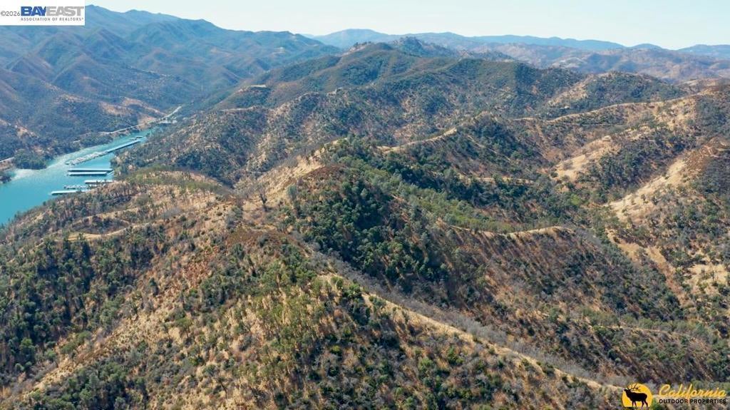 Photo of Listing #41130920